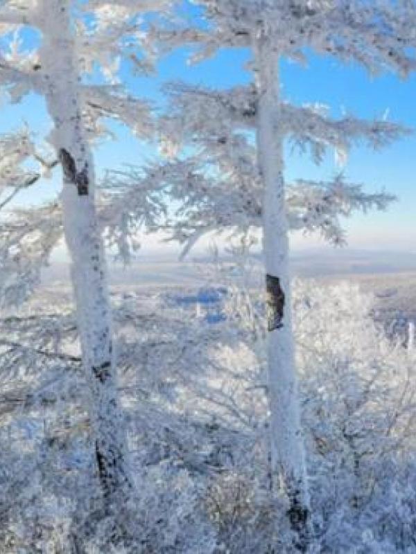 嗨翻冰雪世界！呼伦贝尔四大冰雪旅游线路值得收藏