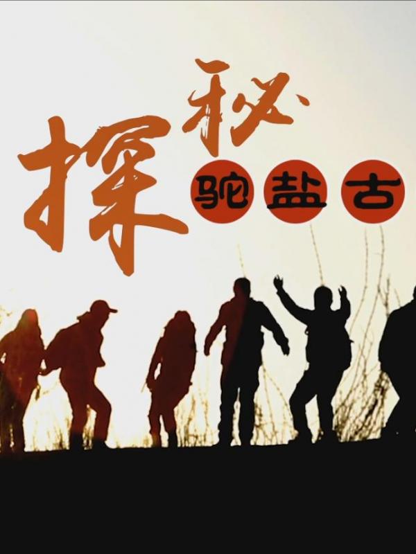 亮丽内蒙古第31期：探秘阿拉善驼盐古道