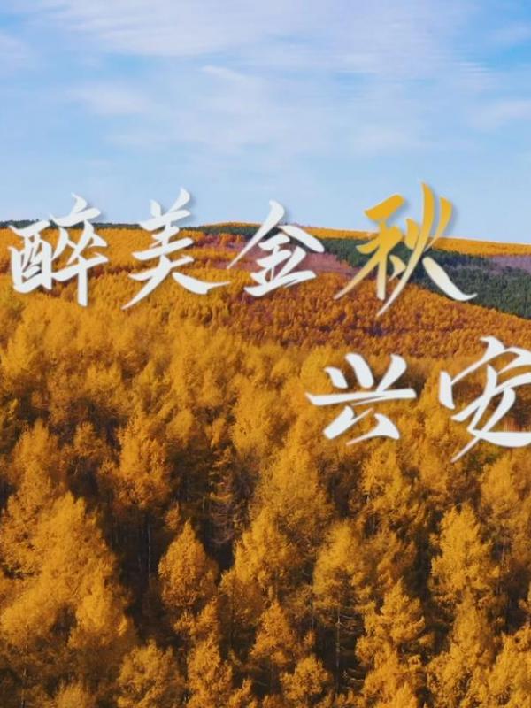 亮丽内蒙古第36期：兴安秋色