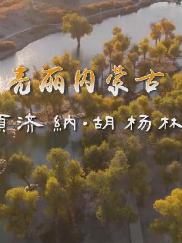 亮丽内蒙古第44期：额济纳胡杨林