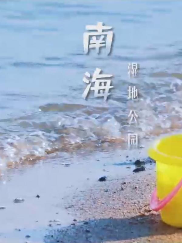 ​亮丽内蒙古第50期：包头南海湿地公园