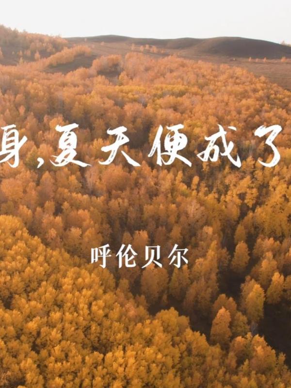 亮丽内蒙古59期：呼伦贝尔一转眼夏天便成了故事