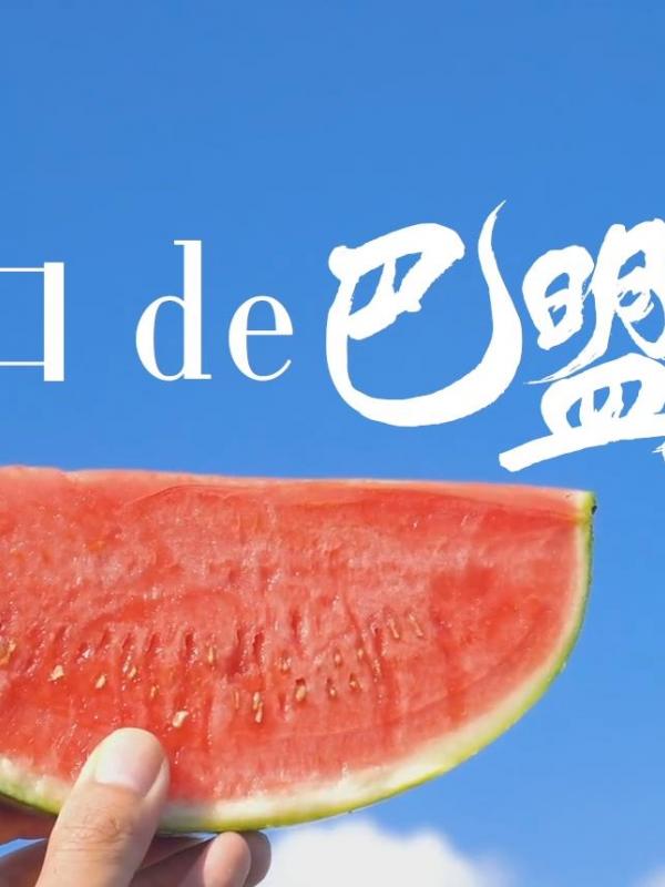 亮丽内蒙古第60期：香甜爽口de巴盟瓜