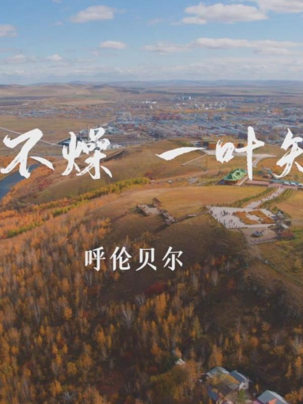 亮丽内蒙古第67期：呼伦贝尔微风不燥 一叶知秋