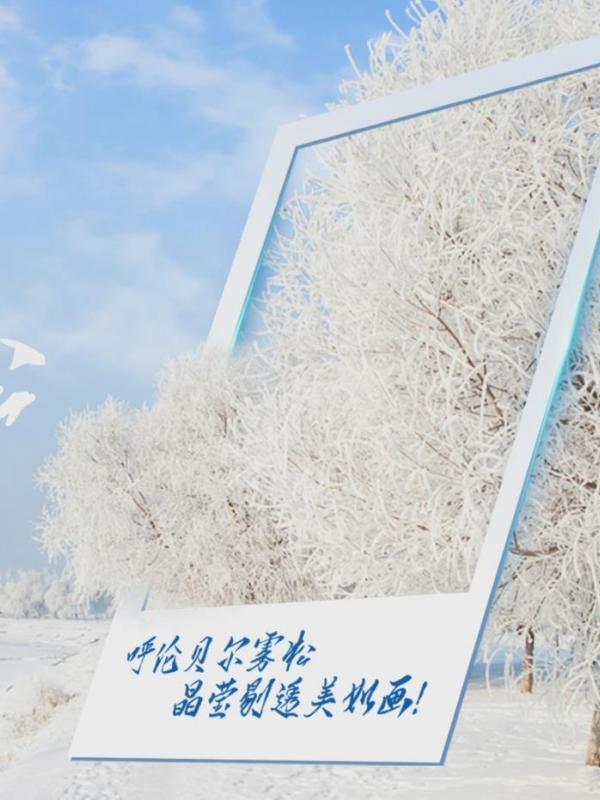 亮丽内蒙古第113期：呼伦贝尔雾凇，晶莹剔透美如画！