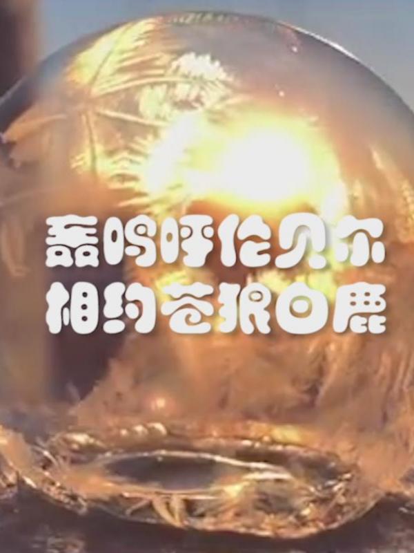 亮丽内蒙古第114期：轰鸣呼伦贝尔、相约苍狼白鹿