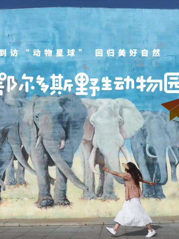 亮丽内蒙古第283期：到访“动物星球”、回归美好自然-鄂尔多斯野生动物园