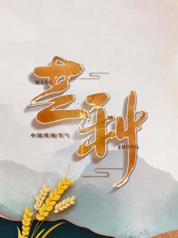 亮丽内蒙古第320期：二十四节气-芒种