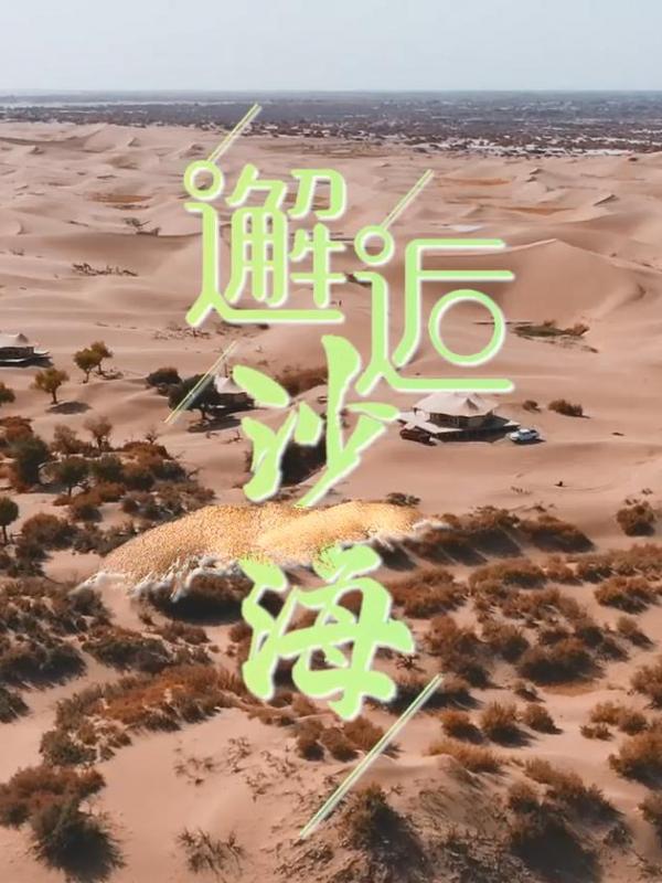 亮丽内蒙古第325期：邂逅沙海-漠中胡杨景区