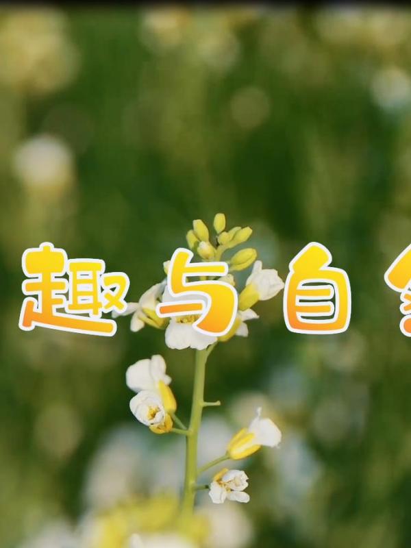 亮丽内蒙古第342期：童趣与自然