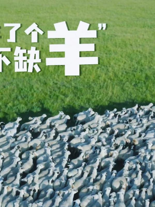 亮丽内蒙古第386期：别再羊了个羊，内蒙古不缺羊